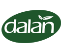 Dalan